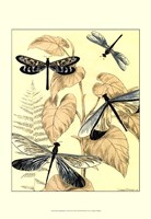 Spa Dragonflies in Nature II Fine Art Print