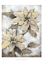 Poinsettia Study I Fine Art Print