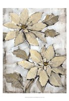 Poinsettia Study II Fine Art Print