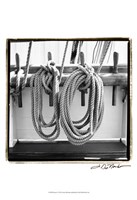 Secure I Fine Art Print