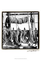 Secure II Fine Art Print