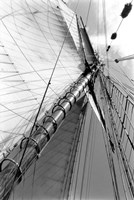 Set Sail II Fine Art Print