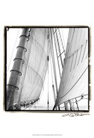 Undersail II Fine Art Print