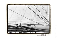 Undersail IV Fine Art Print