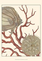 Coastal Collection I Fine Art Print