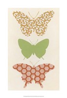 Butterfly Patterns III Framed Print