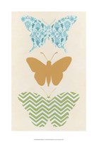 Butterfly Patterns IV Framed Print