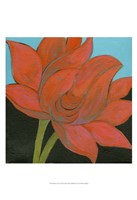 Bliss Lotus I Fine Art Print