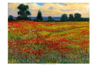 Red Field I Fine Art Print