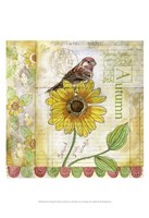 Spread Your Wings IV Fine Art Print