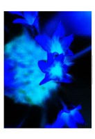 Moon Blue I Fine Art Print