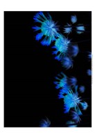 Moon Blue II Fine Art Print