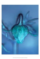 Love Flowers II Fine Art Print