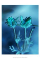 Love Flowers III Fine Art Print