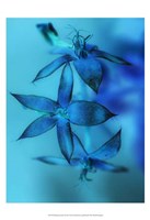 Falling Forward I Fine Art Print