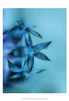 Falling Forward II Fine Art Print