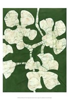 Green Blooms II Framed Print