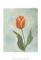 Painted Tulips V Fine Art Print