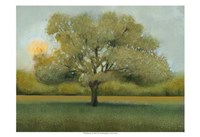 Sunrise II Fine Art Print