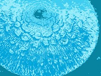 Blue Abstract Fine Art Print