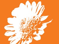 Orange Mum Fine Art Print