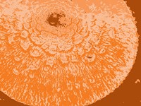 Orange Abstract Fine Art Print