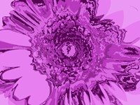Pink Abstract Flower Fine Art Print