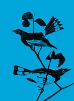 Starlings Fine Art Print