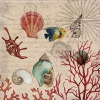 Coral I Fine Art Print