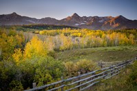 Country Morning Fine Art Print