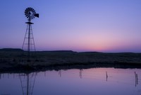 Colorado Life Fine Art Print