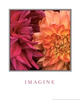 Imagine Flowers Fine Art Print