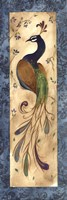 Peacock IV - mini Fine Art Print