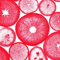 Red Lemon Slices Fine Art Print