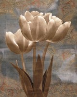 Tulip I Fine Art Print