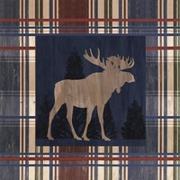 12" x 12" Moose Pictures