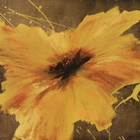 Colourful Flowers II Fine Art Print