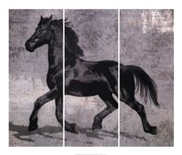 Caballus III Fine Art Print