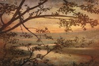 Tranquil Landscape Fine Art Print