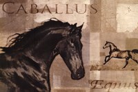 Caballus I Fine Art Print