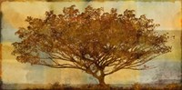 Autumn Radiance Sepia Fine Art Print