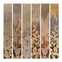 Nature's Shades Composition Fine Art Print