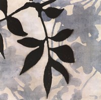 Bianco Visione II Fine Art Print