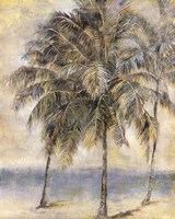 Palm Hammock II Fine Art Print