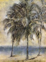 Palm Hammock II Fine Art Print