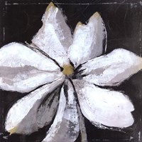 Black And White Digressions I Fine Art Print