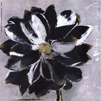 Black And White Digressions III Fine Art Print