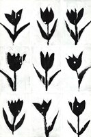 Tulip Noir Composite Fine Art Print