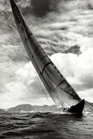 Velsheda Fine Art Print