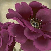 Peony Dusk I Fine Art Print